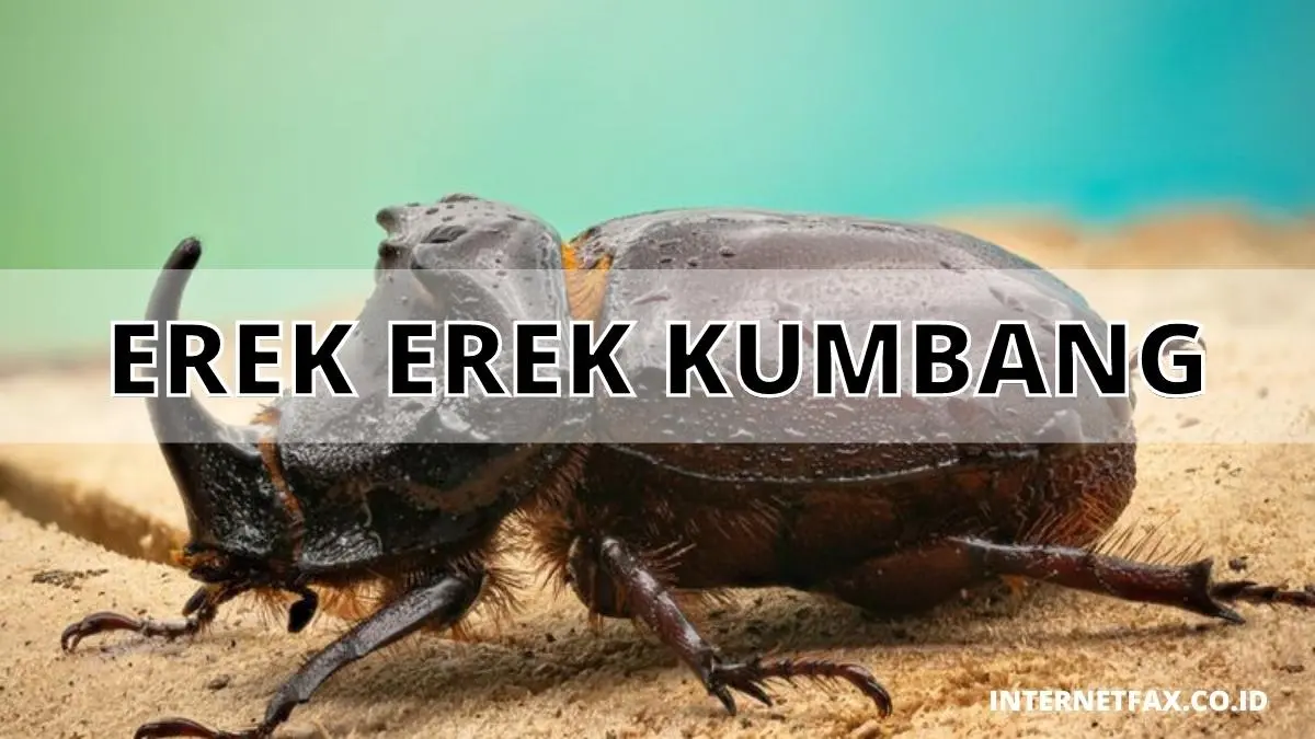 Erek Erek Kumbang