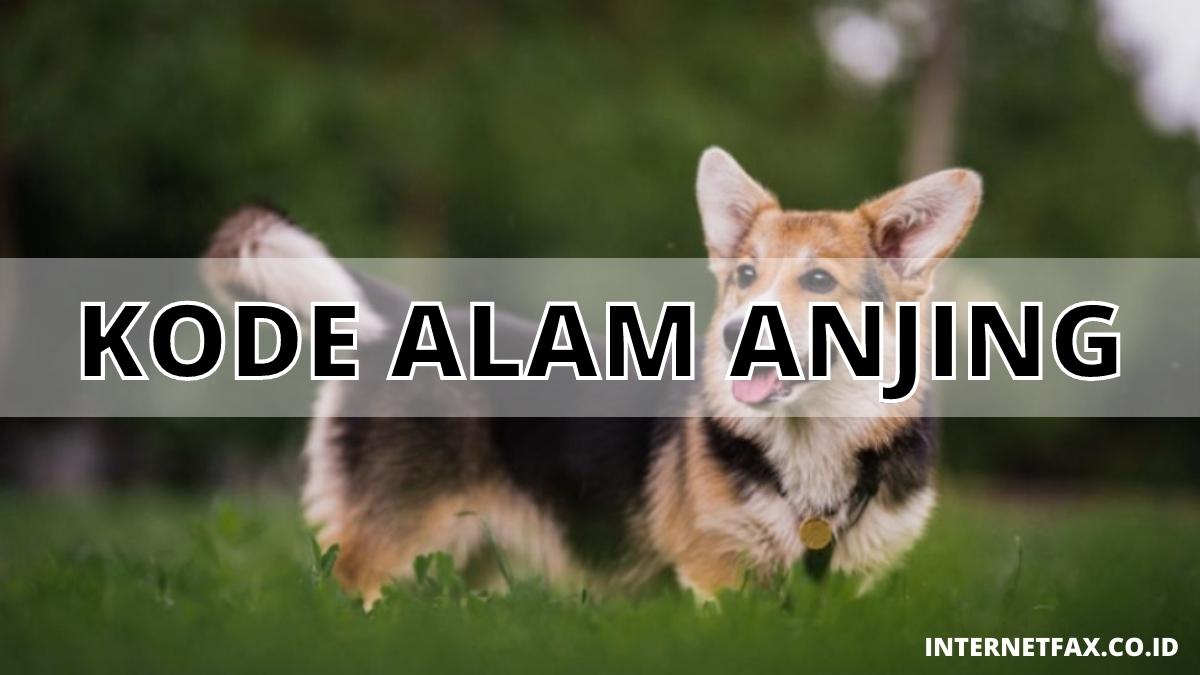 Kode Alam Anjing