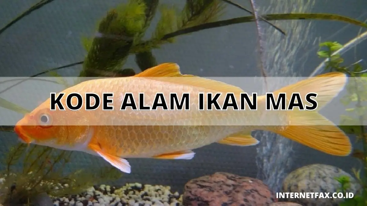 Kode Alam Ikan Mas