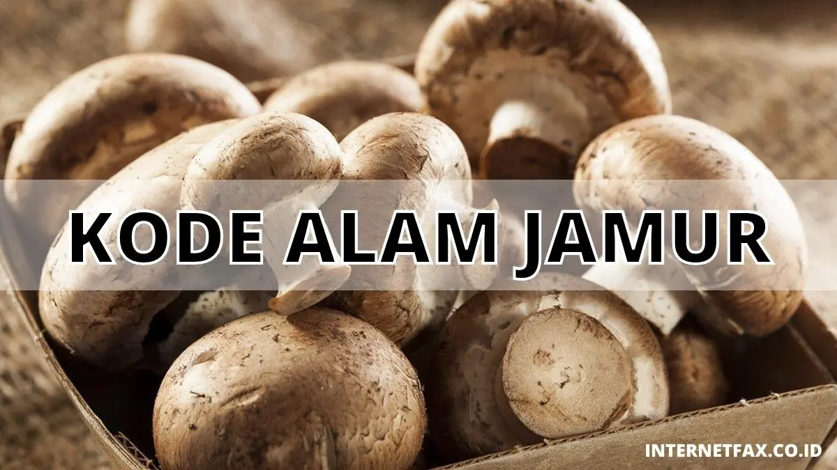 Kode Alam Jamur