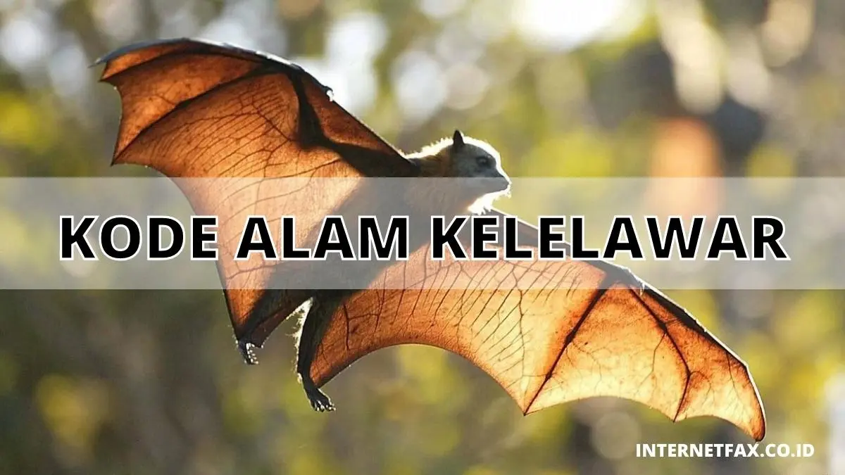 Kode Alam Kelelawar