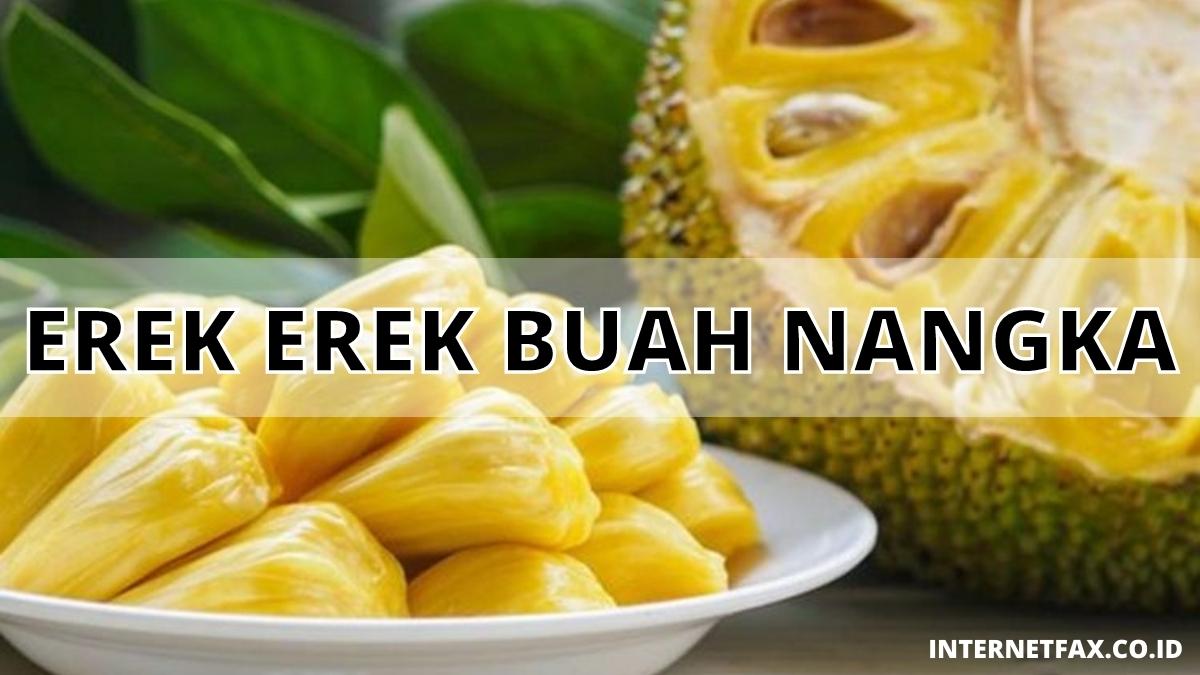 Erek Erek Buah Nangka