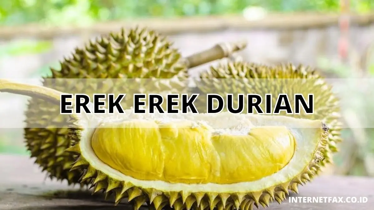 Erek Erek Durian