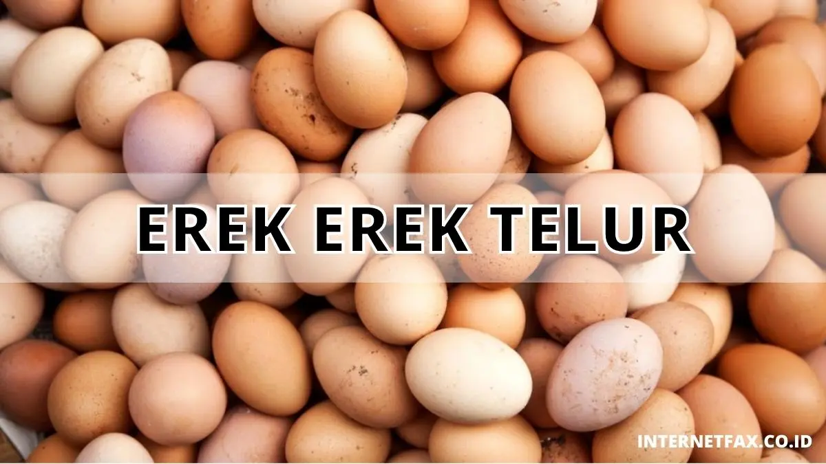 Erek Erek Telur