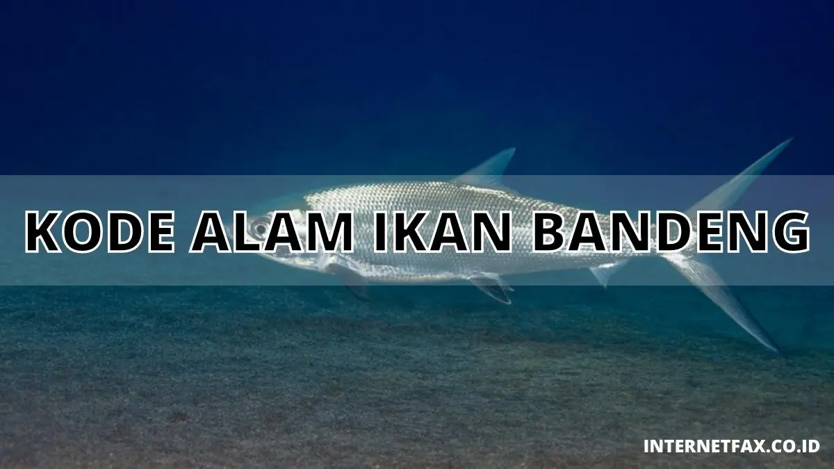 Kode Alam Ikan Bandeng