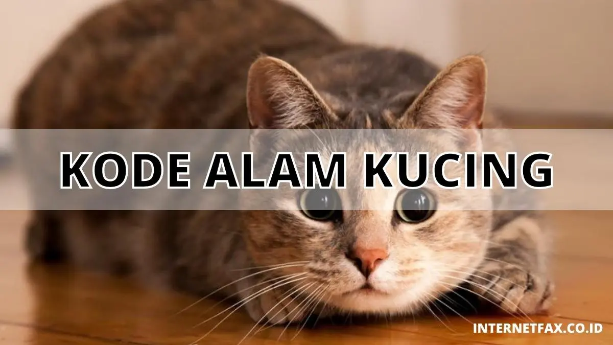 Kode Alam Kucing