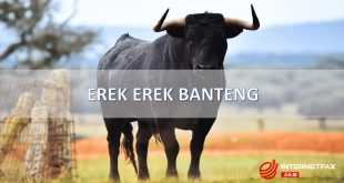 erek erek banteng