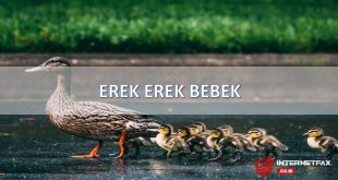 erek erek bebek