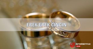 erek erek cincin