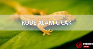 erek erek cicak
