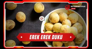 erek erek duku