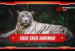 erek erek harimau