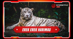 erek erek harimau