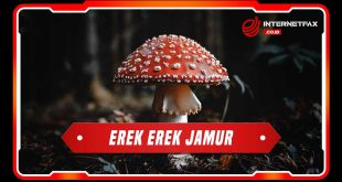erek erek jamur
