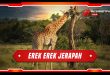 erek erek jerapah