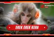 erek erek kera