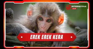 erek erek kera