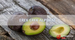 erek erek alpukat