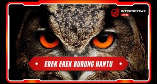 erek erek burung hantu