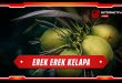 erek erek kelapa