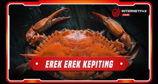 erek erek kepiting