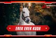 erek erek kuda