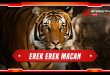 erek erek macan