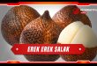 erek erek salak
