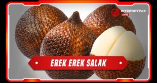 erek erek salak
