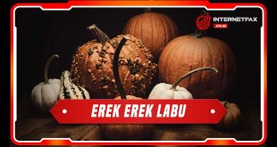 erek erek labu