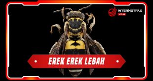 erek erek lebah