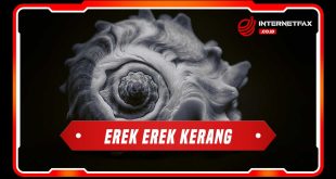 erek erek kerang