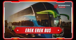 erek erek bus
