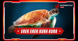 erek erek kura kura