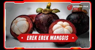 erek erek manggis