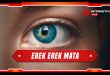 erek erek mata
