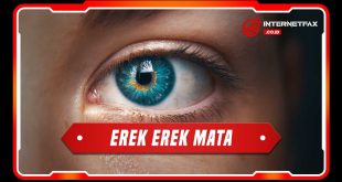 erek erek mata