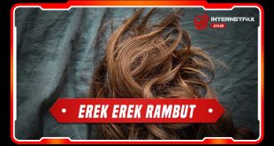 erek erek rambut