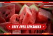 erek erek semangka