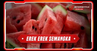 erek erek semangka
