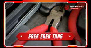 erek erek tang