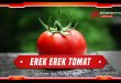 erek erek tomat