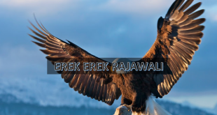 erek erek rajawali
